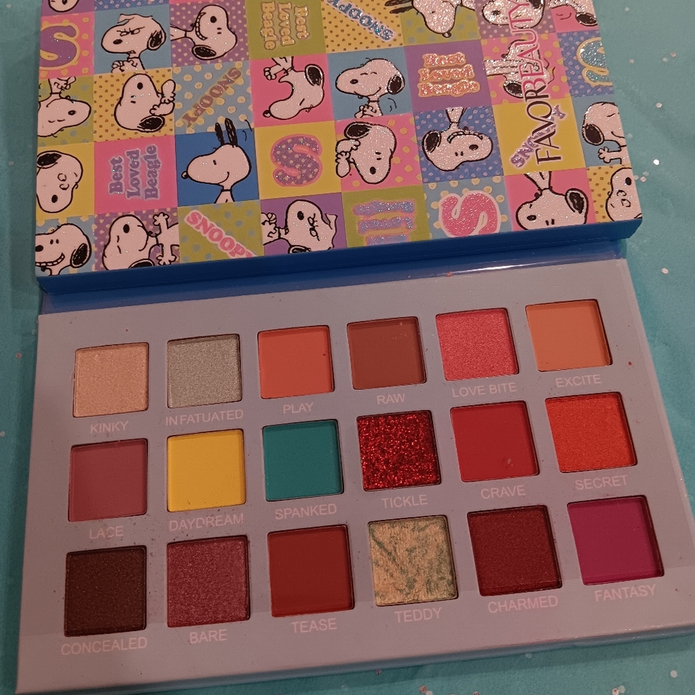 New eye shadow pallet